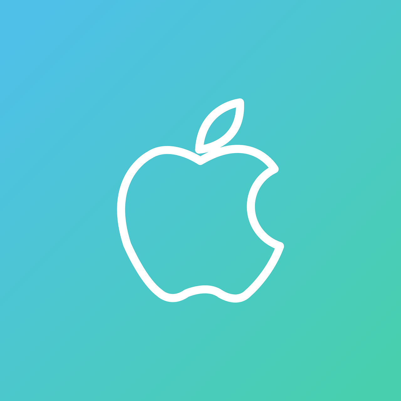 pixabay-3372581-4.png